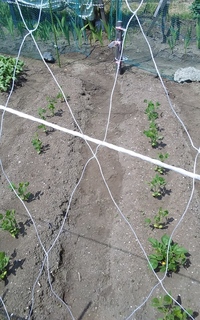 20180607_100820.jpg